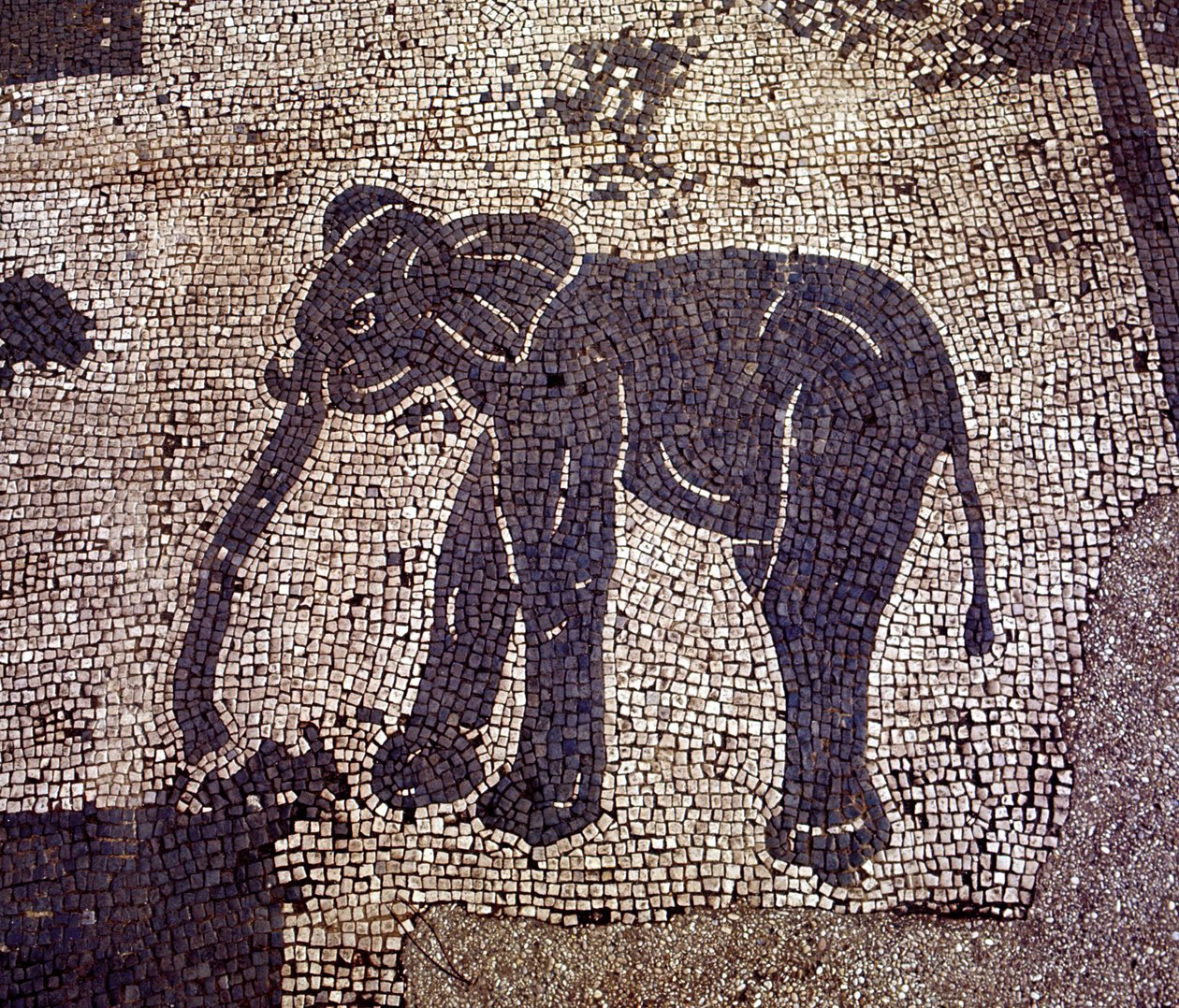 Antik Ostia (Ostia). Place des Corporations. Sabratha Denizciler Şirketi
