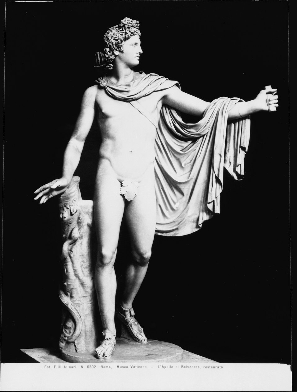 Apollo Belvedere, MÖ 4. yüzyıla ait bir Yunan orijinalinin Roma kopyası (mermer) (s/b fotoğraf) (restorasyon sonrası) by Roman Roman