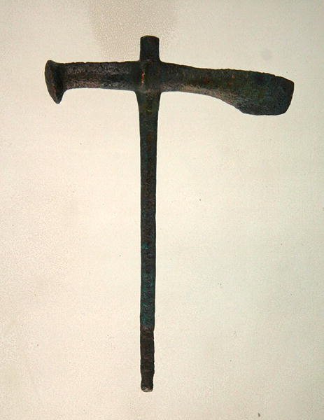Balta, Bebra