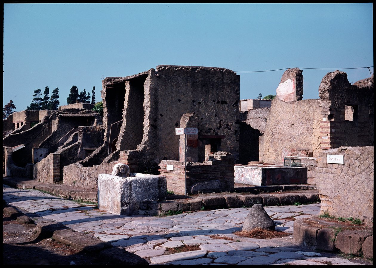 Cardo V ve alt decumanum arasındaki kavşak, MÖ 5. yüzyıl - MS 1. yüzyıl by Roman Roman