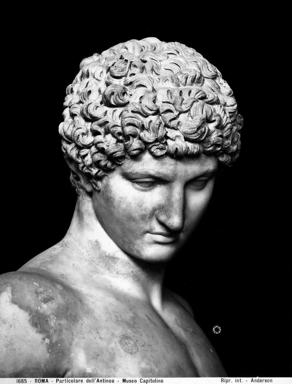 Antinous (mermer) Detayı by Roman Roman