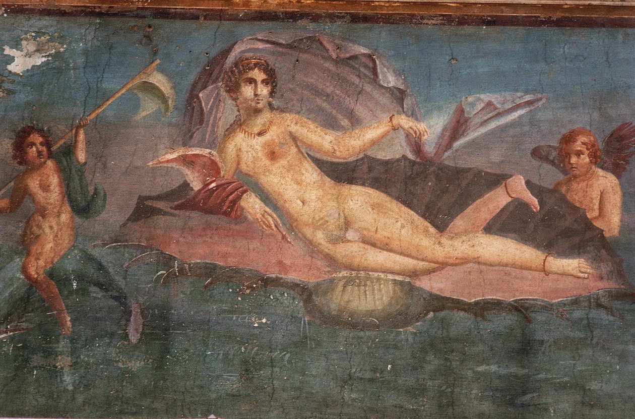 Deniz kabuğundaki Venüs Evi'ndeki fresk detayı, Pompeii, Campania, Roma Uygarlığı by Roman Roman