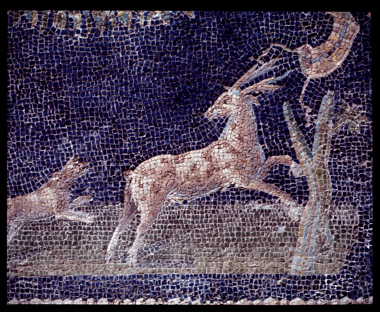Casa di Nettuno e Anfitrite nymphaeumunun duvar mozaiklerinin detayı, MÖ 5. yy - MS 1. yy by Roman Roman