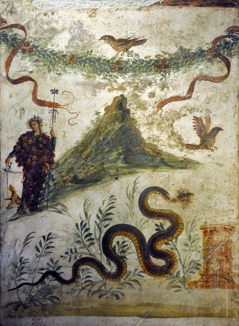 Vesuve Dağı'nın önünde duran üzüm salkımlarının Dionysos vetu'su - Pompei'den fresk, casa diel centenario (centenario evi) - Napoli, Ulusal Arkeoloji Müzesi by Roman Roman