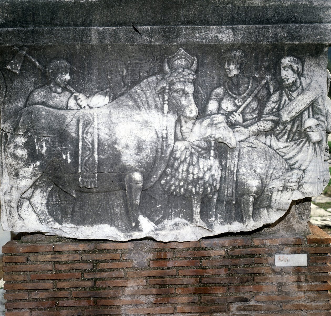 Foro Romano: Suovetaurilia (domuz, koç ve boğa kurbanı). Roma by Roman Roman