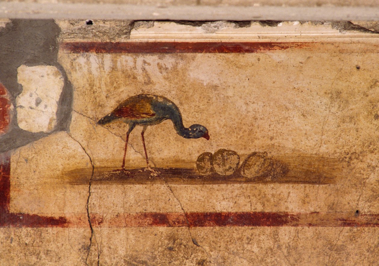 Caius Julius Polybius Evi, Pompeii'deki (UNESCO Dünya Mirası Listesi) peristylium'dan kuşu tasvir eden fresk by Roman Roman