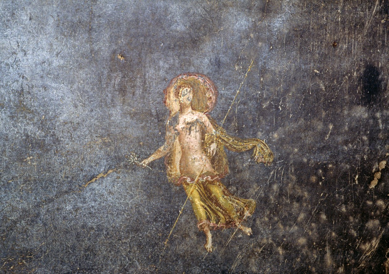 Menander Evi'nden fresk, Pompeii (UNESCO Dünya Mirası Listesi) by Roman Roman