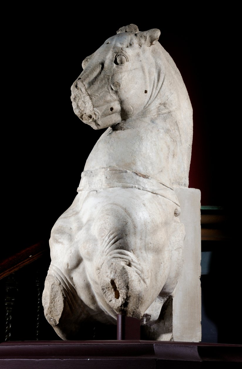 Bir atın ön kısmı (mermer) (ayrıca bkz. 371182 & 371184) by Roman Roman