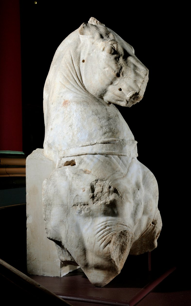 Bir atın ön kısmı (mermer) (ayrıca bkz. 371183 & 371184) by Roman Roman