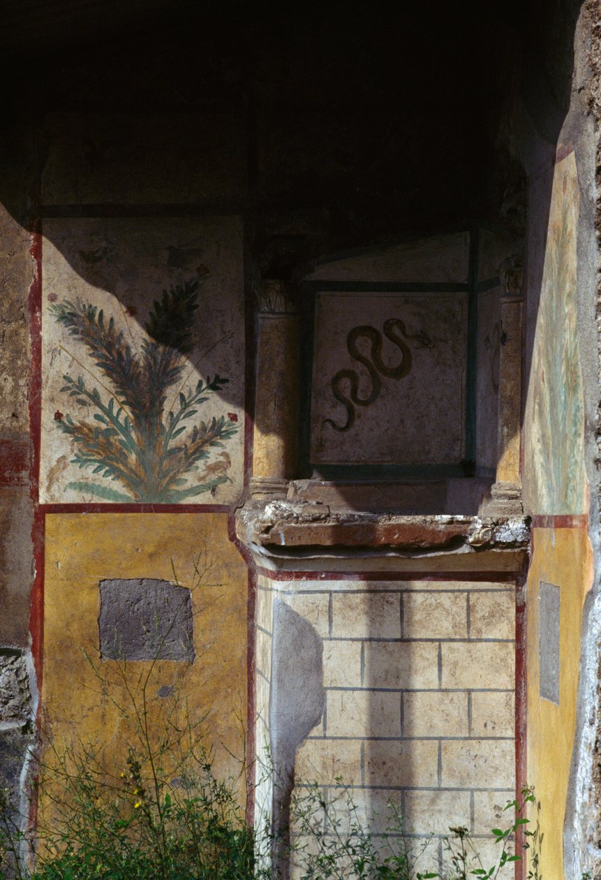 Via di Castricio, Pompeii'de (UNESCO Dünya Mirası Listesi) bir evin görünümü by Roman Roman