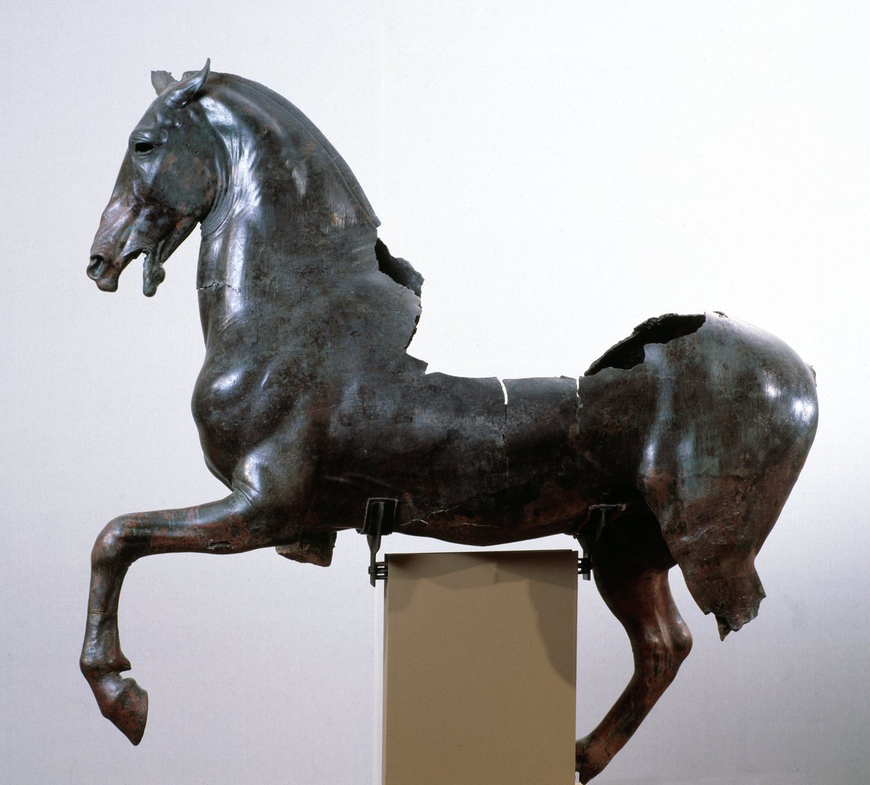 At (MÖ 4. yüzyıldan kalma bir Yunan orijinalinden sonra bronz heykel) by Roman Roman