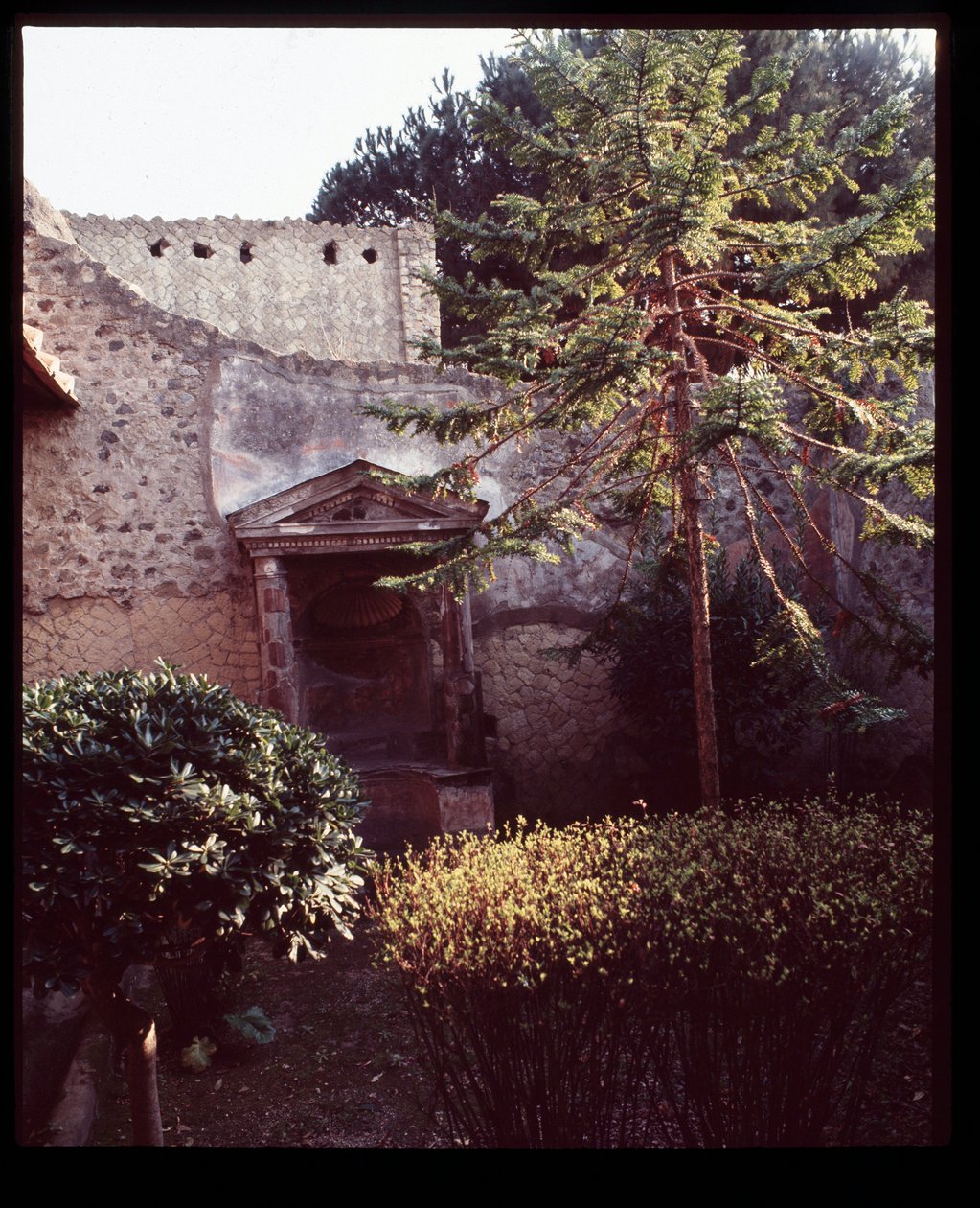 Casa del Mobilio Carbonizzato