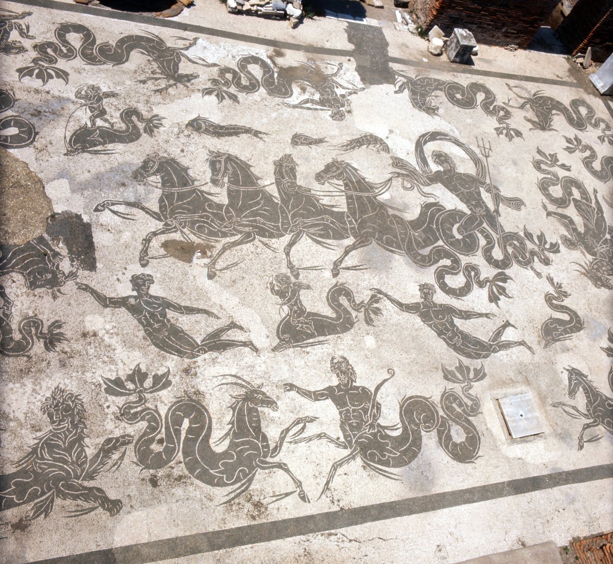 Ostia (Ostia) Antik: Neptün Hamamları mozaiği. by Roman Roman