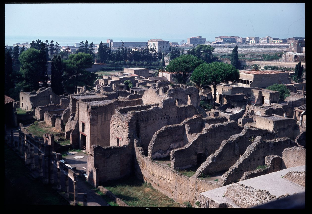 Arkeolojik alanın panoramik görünümü, MÖ 5. yüzyıl - MS 1. yüzyıl by Roman Roman