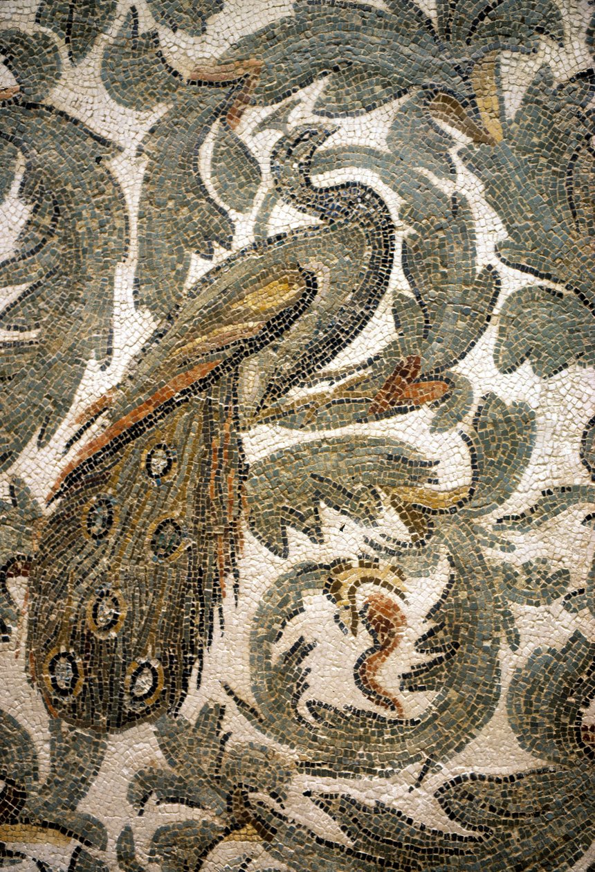 Tavus Kuşu, Mozaik Detayı - MS 4. yüzyıl, Bardo Müzesi, Tunus by Roman Roman