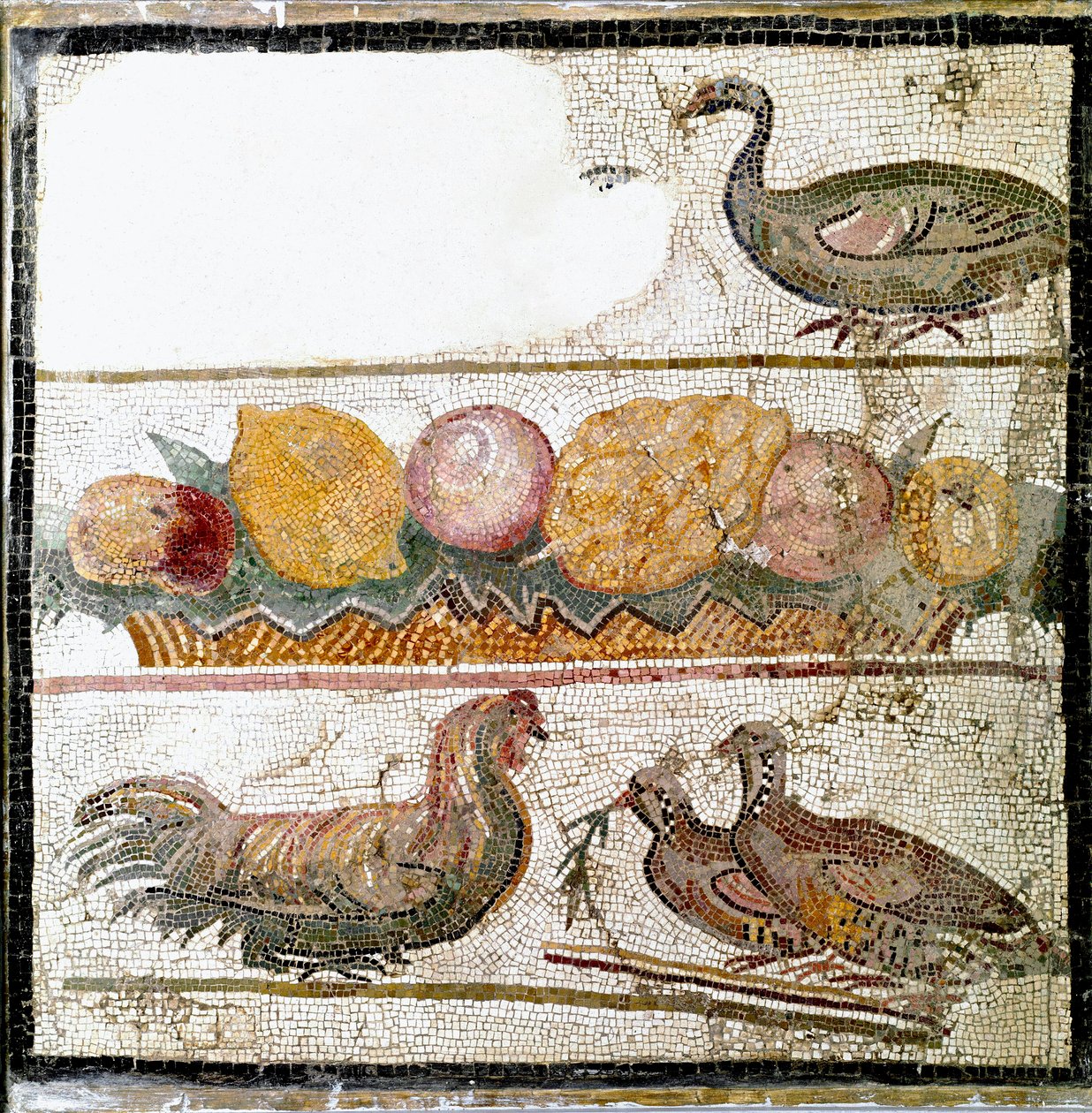 Roma sanatı: tavukları, kazları ve kümes hayvanlarını temsil eden mozaik. Roma, Ulusal Roma Müzesi - Roma Sanatı Hayvan ve Meyve, Mozaik. Ulusal Roma Müzesi, Roma, İtalya by Roman Roman
