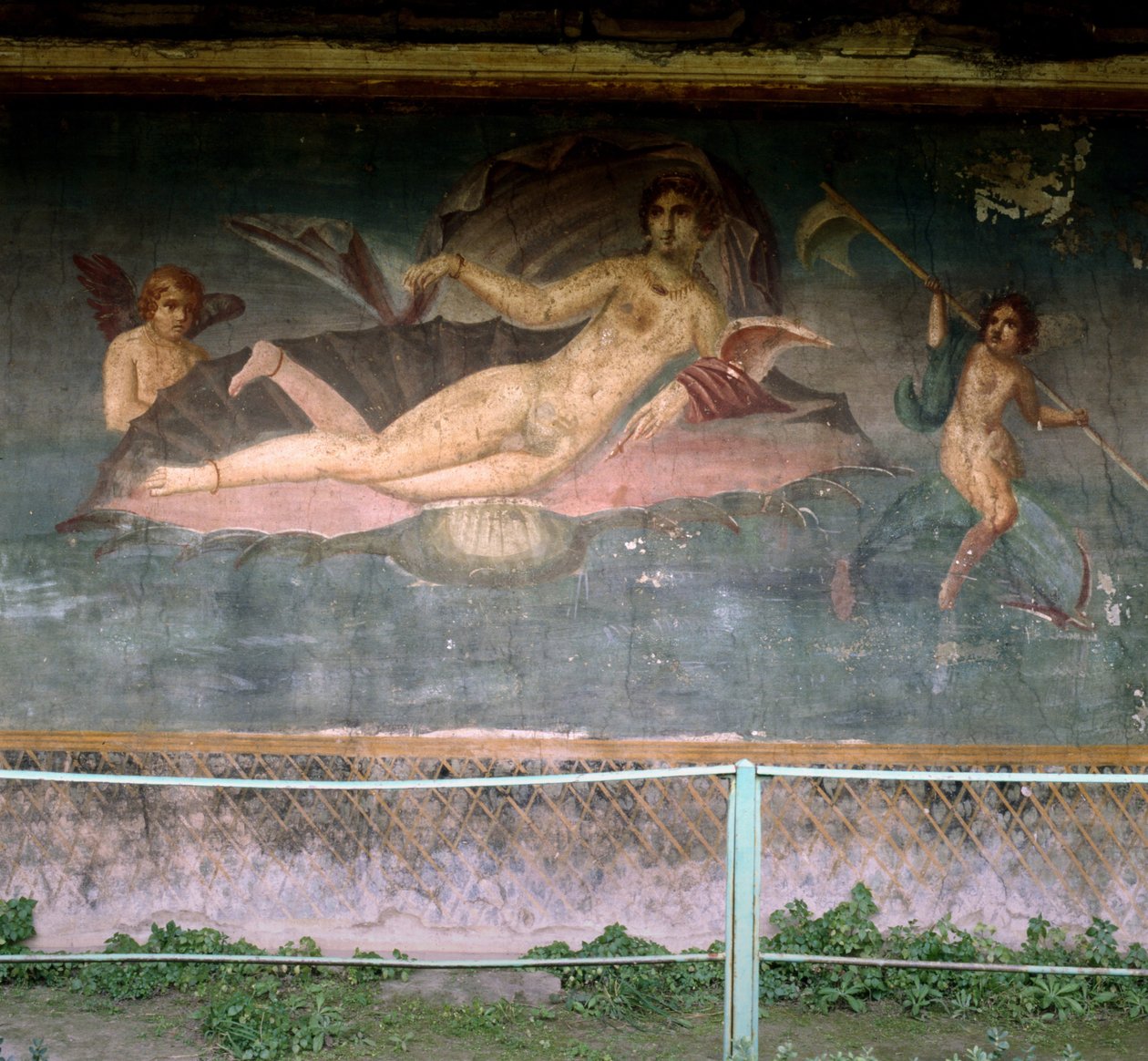 Venüs kabuğun içinde dinleniyor. Venüs Evi, Pompei, İtalya. Fresk. by Roman Roman