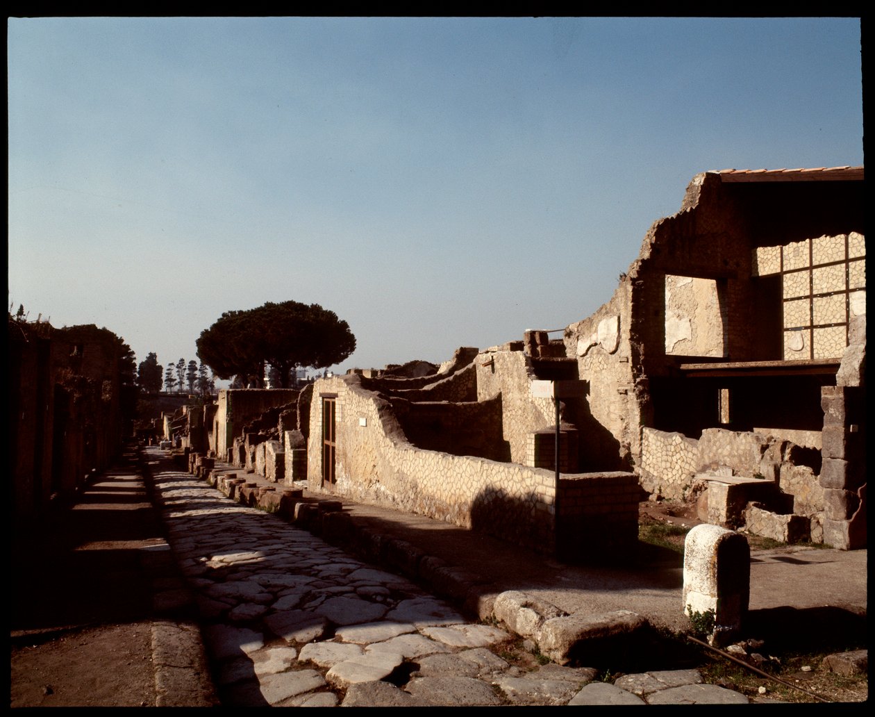 Decumanus Maximus