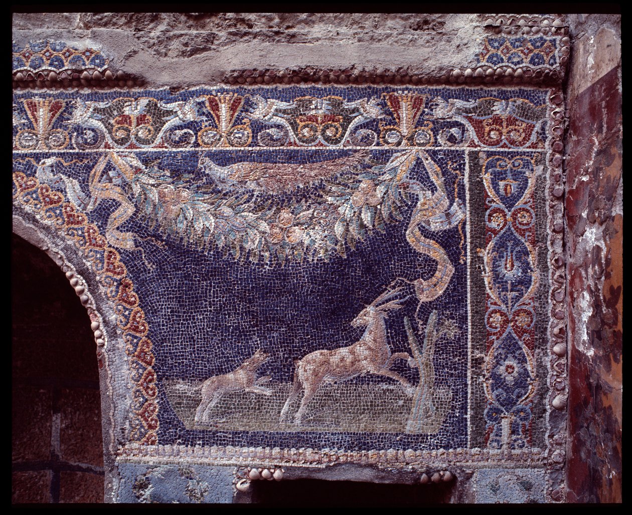 Casa di Nettuno e Anfitrite nymphaeum
