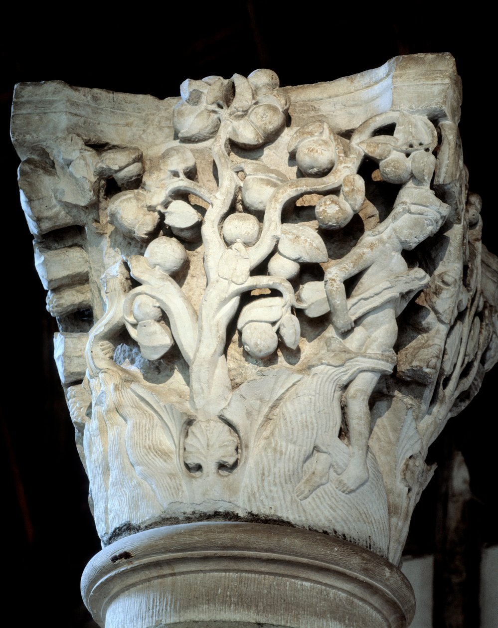 Cennet: incir ağacı ve elma ağacı, Koronun başkenti (heykel) by Romanesque