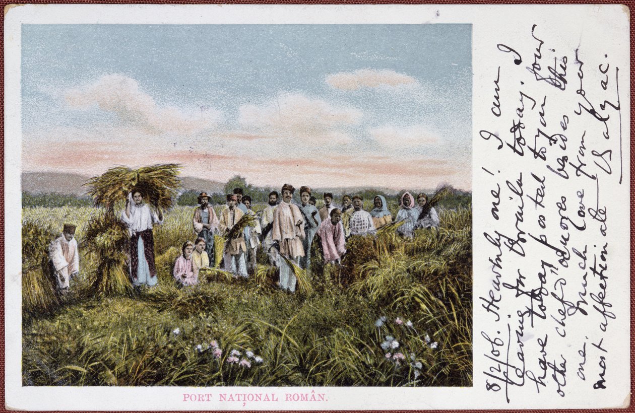 Rumen köylülerin hasat ettiğini gösteren kartpostal, 1906 by Romanian School
