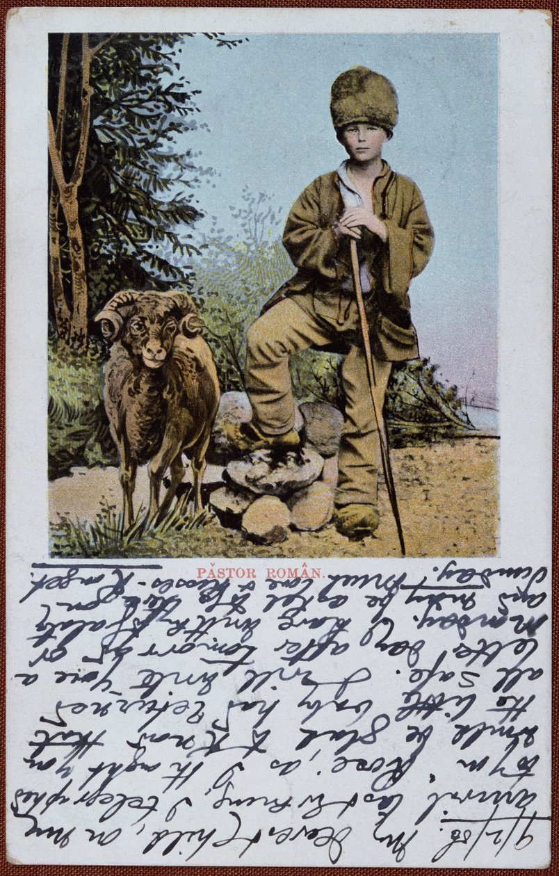 Bir Rumen çoban çocuğunu betimleyen kartpostal, 1906 dolayları by Romanian School