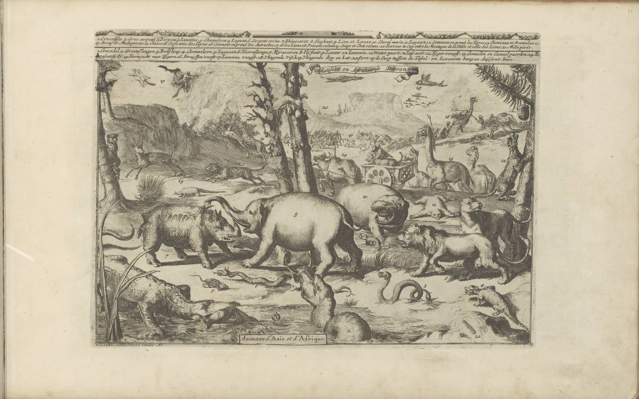 Aziatische ve Afrikaanca dieren Aziatische en Afrikaanse dieren / Asya ve Afrika Hayvanları (nesne üzerindeki başlık) Doğu ve Batı Hint Adaları ve Diğer Yerler (dizi başlığı) by Romeyn de Hooghe