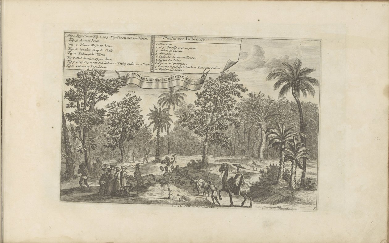 Bomen en specerijen Hint bitkileri, vb / Indianensche kruyden, vb (nesne üzerindeki başlık) Doğu ve Batı Hint Adaları ve Diğer Yerler (dizi başlığı) by Romeyn de Hooghe