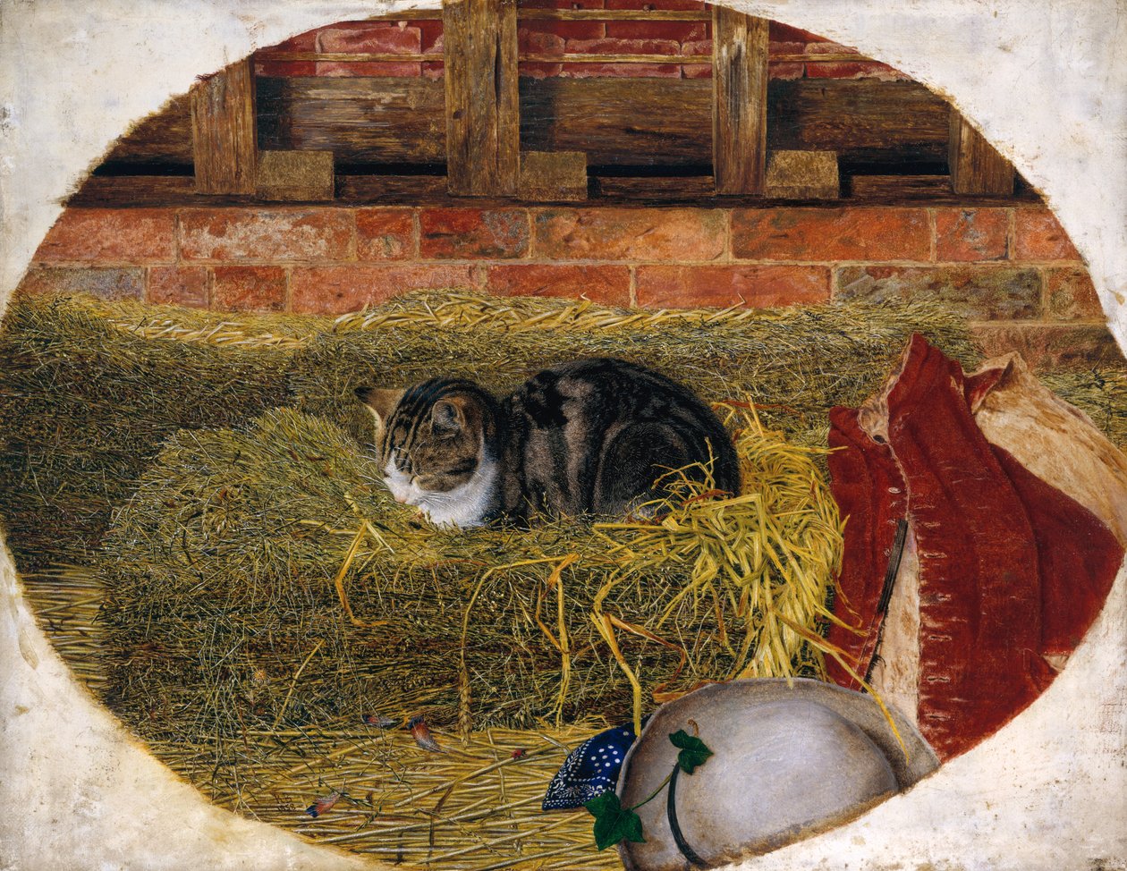 Catnap, 1858  by Rosa Brett