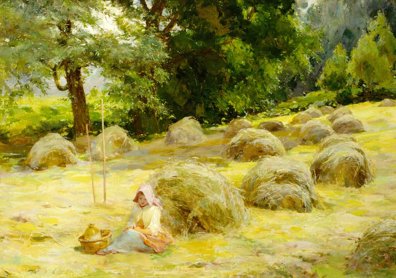 Merhaba by Rosa Appleton