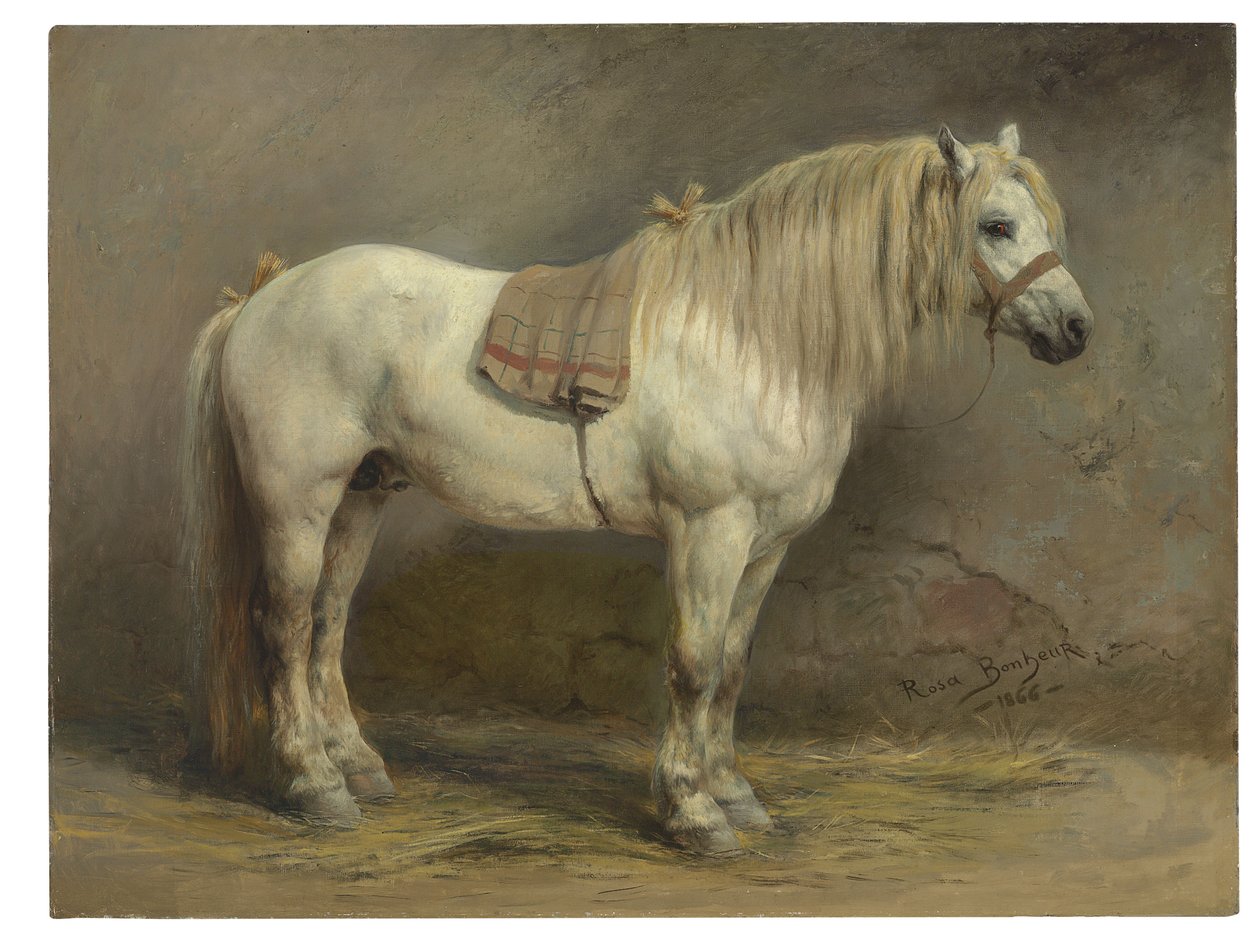 Beyaz At by Rosa Bonheur