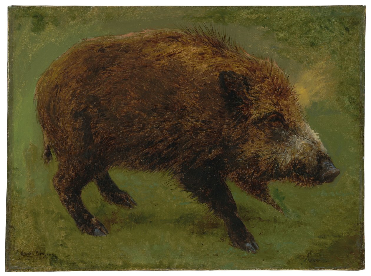 yaban domuzu (tuval üzerine yağlı boya) by Rosa Bonheur
