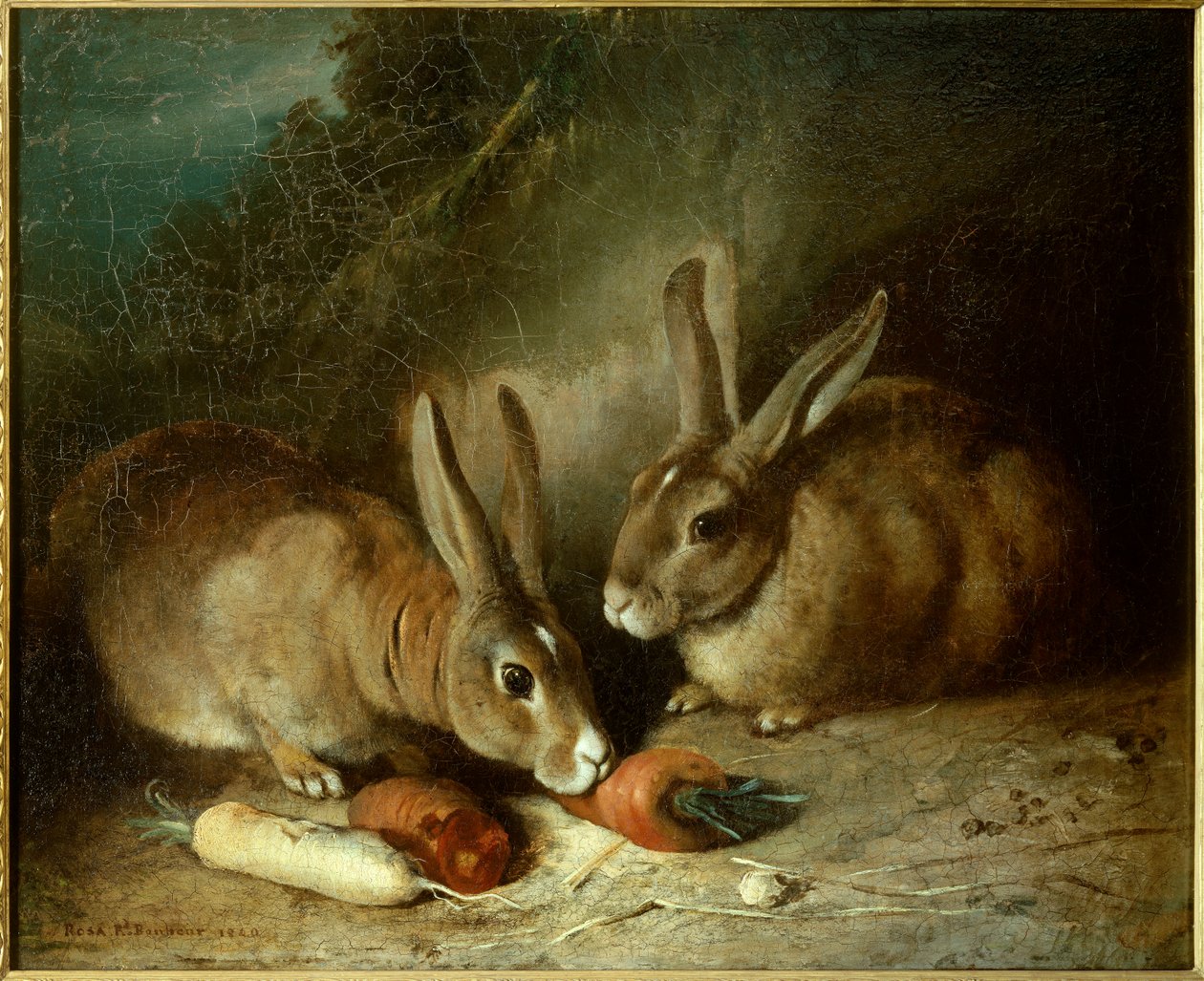 Tavşanlar. Rosa Bonheur