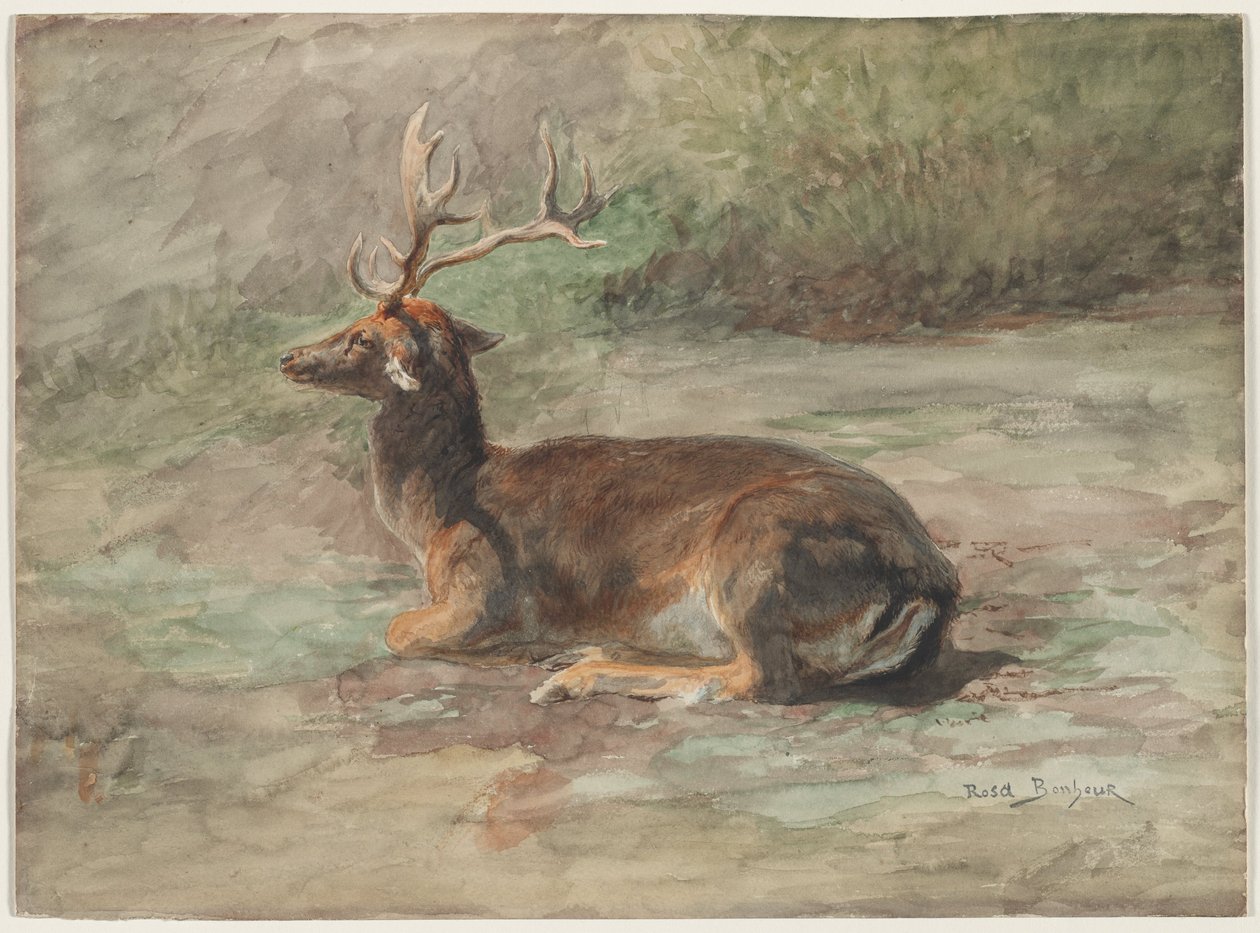 Yaslanmış Geyik, 19. yüzyılın ikinci yarısı (grafit üzerine suluboya ve guaj boya) by Rosa Bonheur