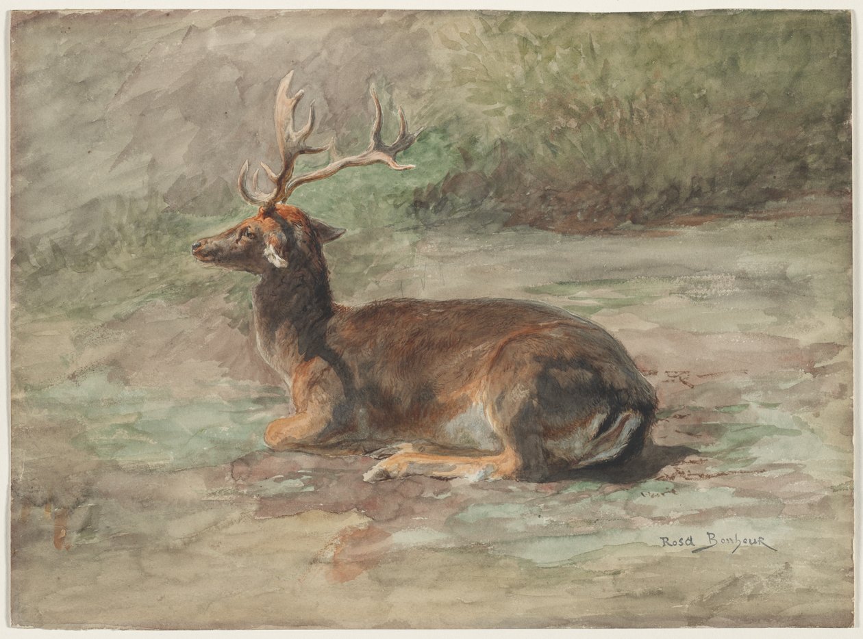 Yaslanmış Geyik, 19. yüzyılın ikinci yarısı. by Rosa Bonheur