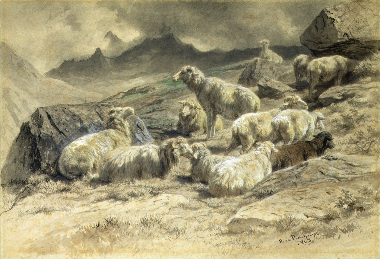 Koyun by Rosa Bonheur