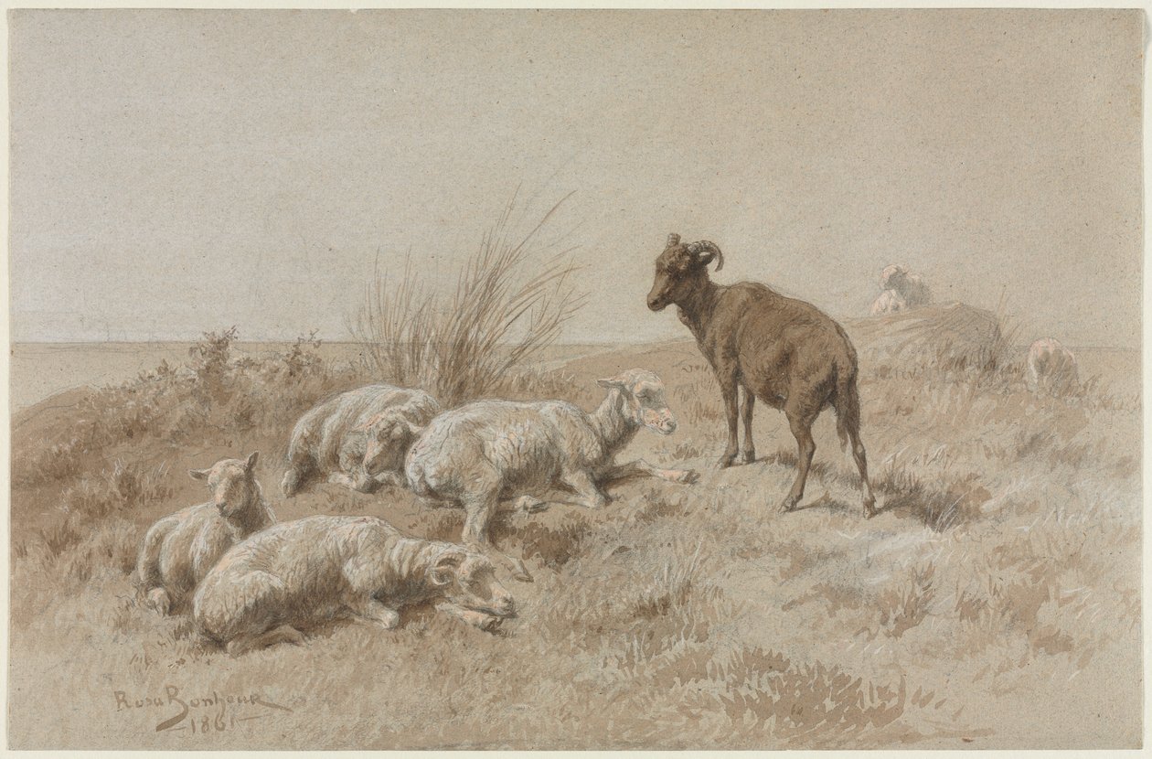 Koyun by Rosa Bonheur