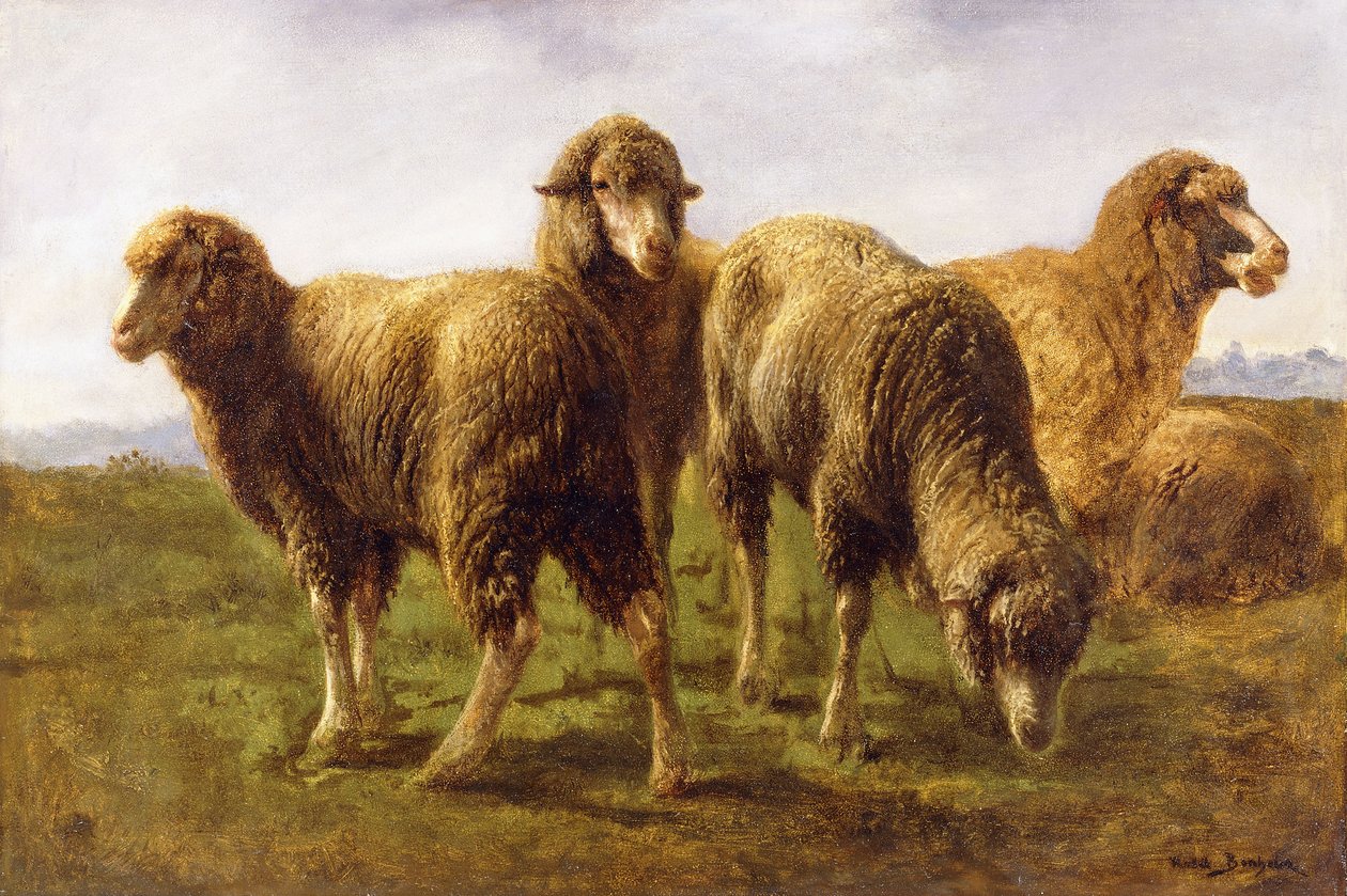 Çayırda Otlayan Koyun, by Rosa Bonheur