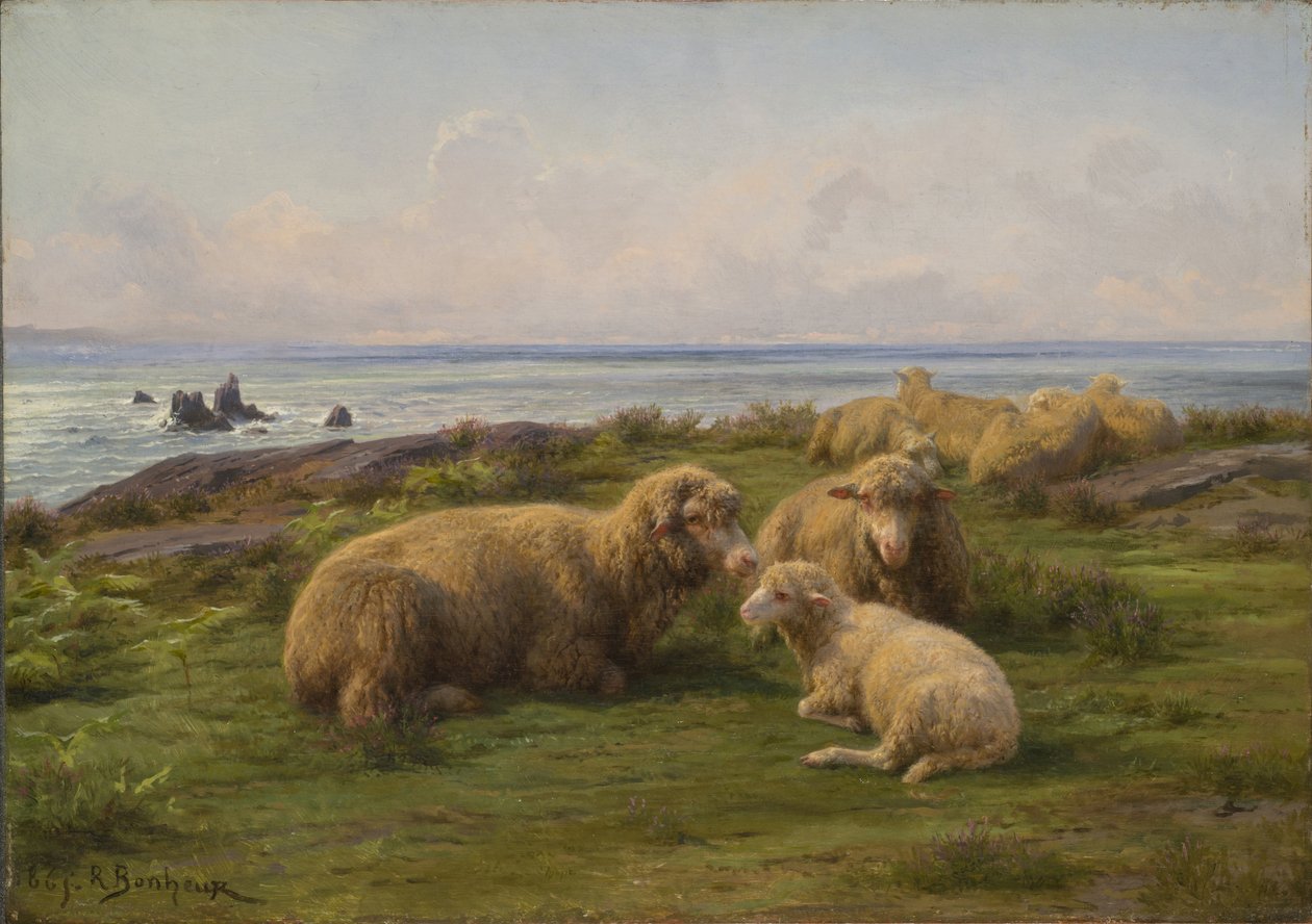 deniz kenarında koyun by Rosa Bonheur