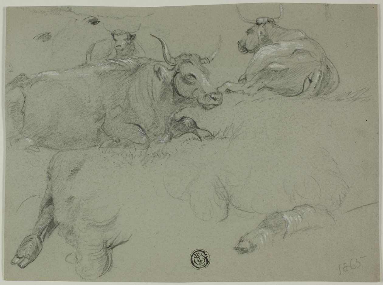İnek Çizimleri by Rosa Bonheur