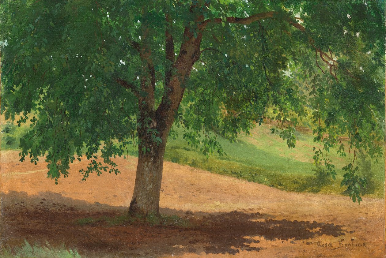 Işık ve Gölge Çalışması (tuval üzerine serilen kart üzerine yağlı boya) by Rosa Bonheur