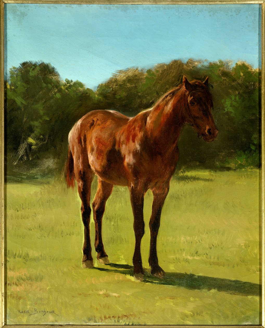 Horse bai kirazının incelenmesi. Rosa Bonheur
