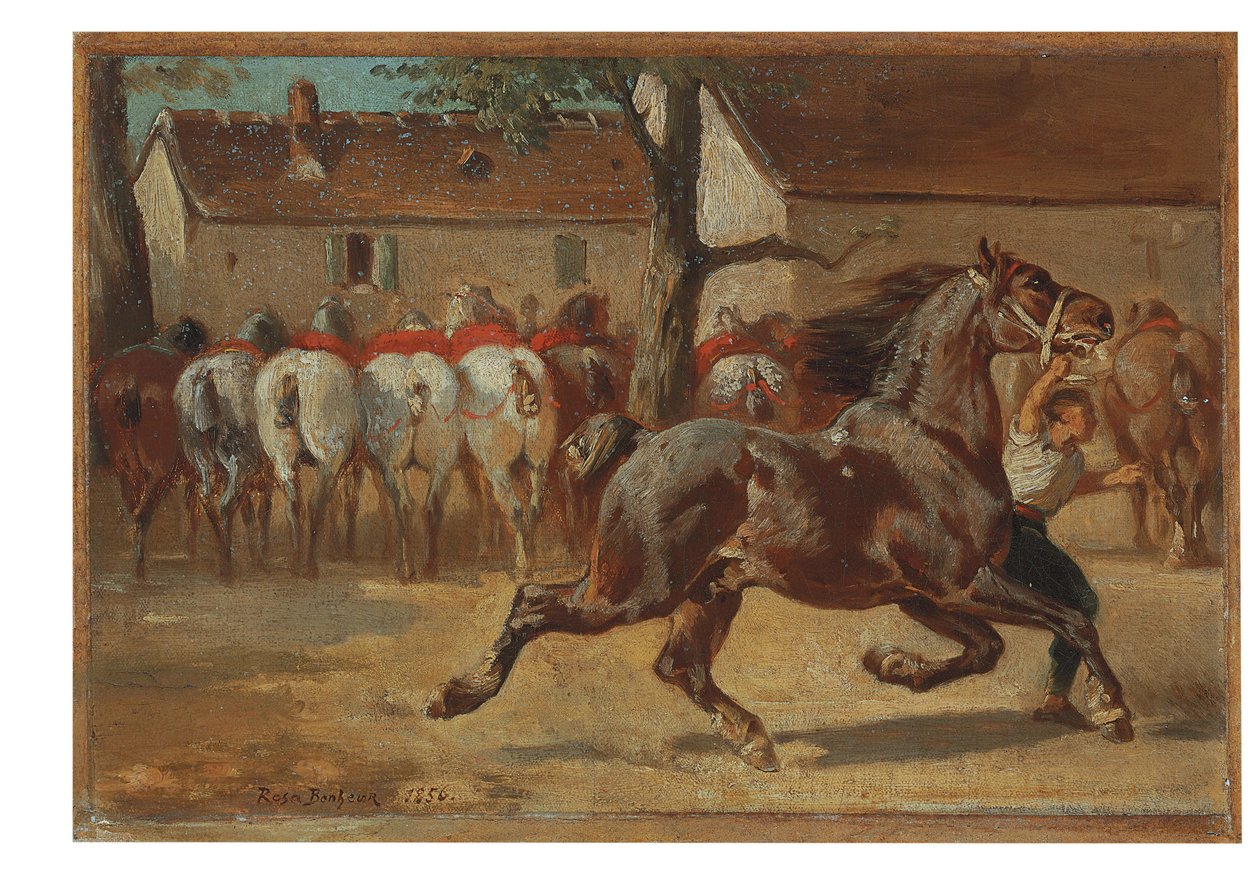 bir at paça by Rosa Bonheur