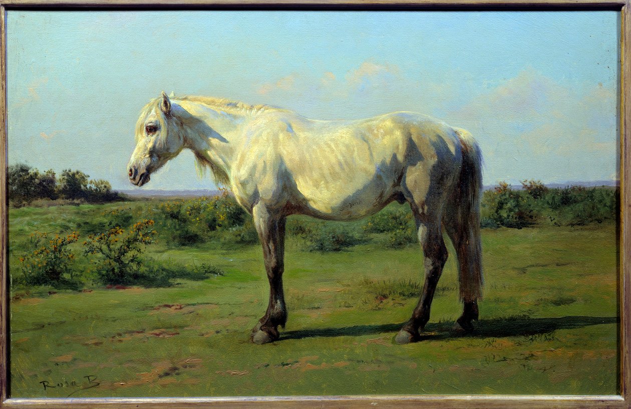 Beyaz at bir pre. Rosa Bonheur