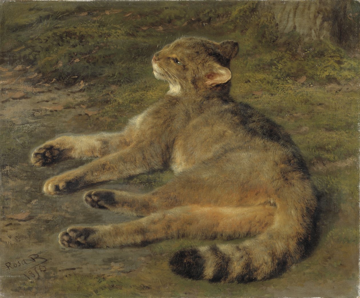 Vahşi Kedi, 1850 by Rosa Bonheur