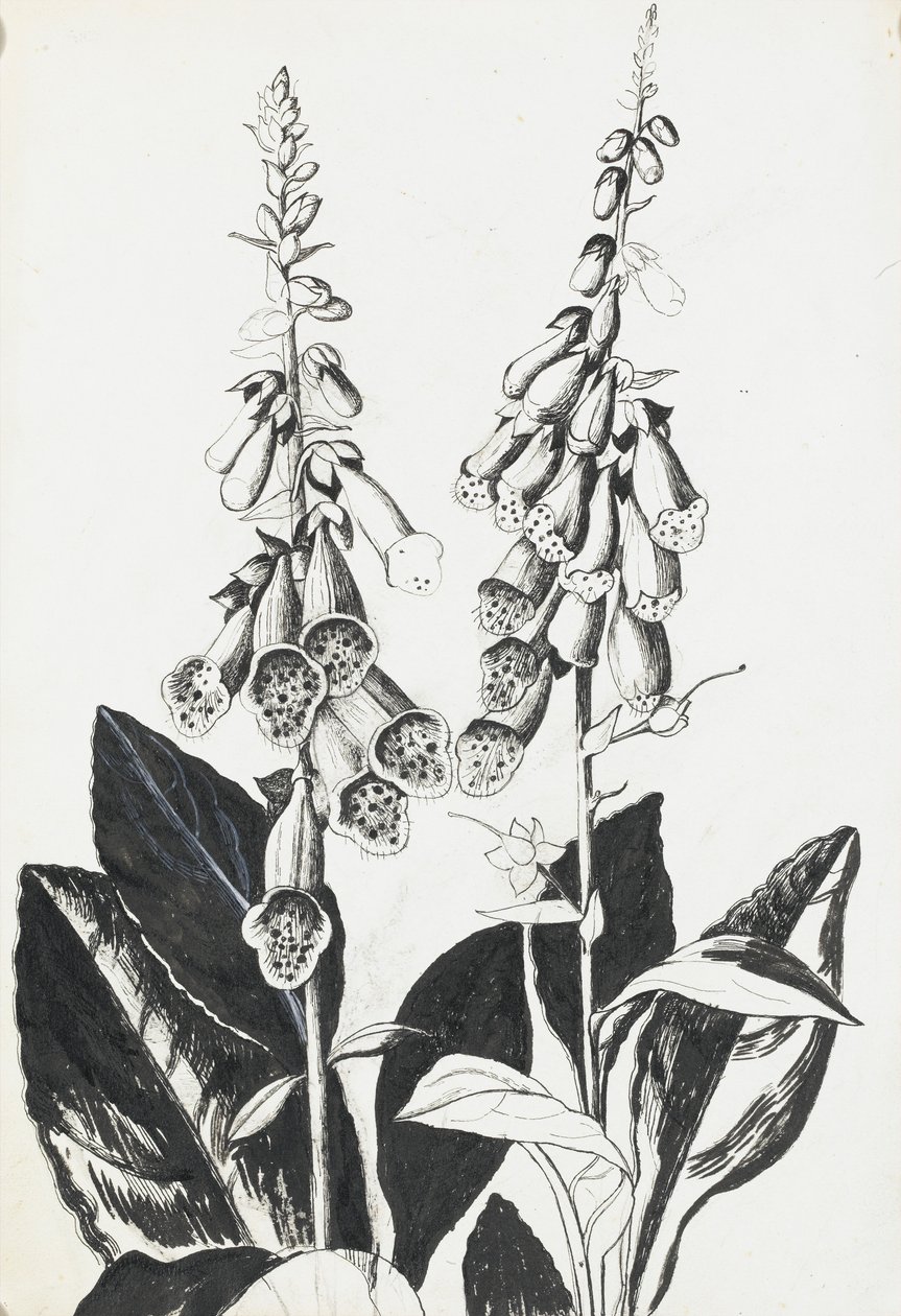 yüksük eldiveni by Rosalie Brill