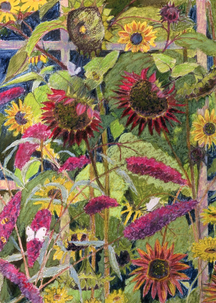 Güneşin Çiçekleri (kağıt üzerine yağlı boya ve pastel) by Rosalie Bullock