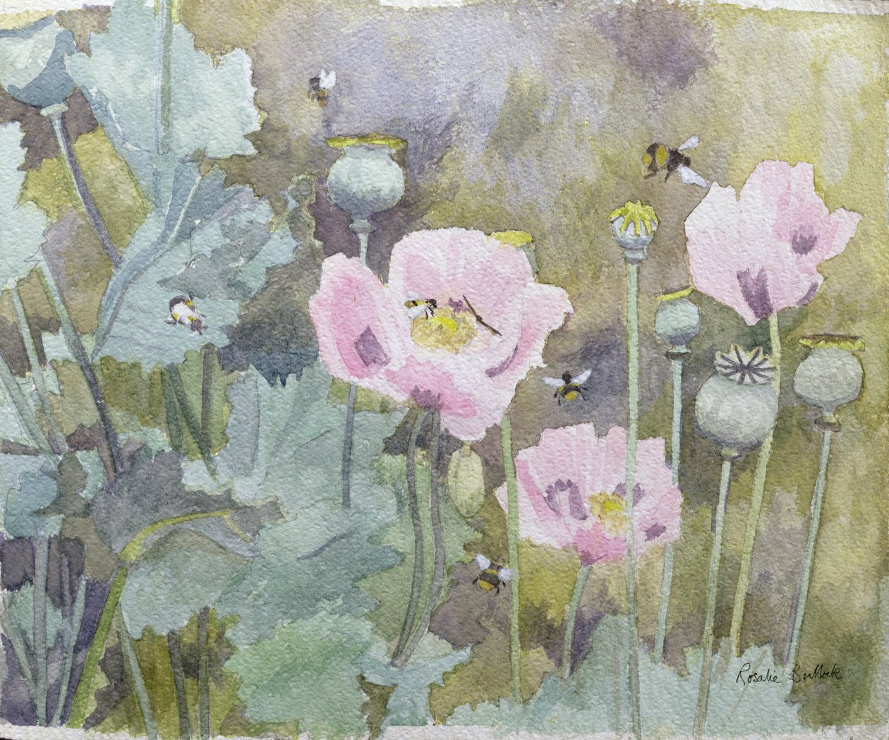 Arılar ile pembe haşhaş (wc) by Rosalie Bullock
