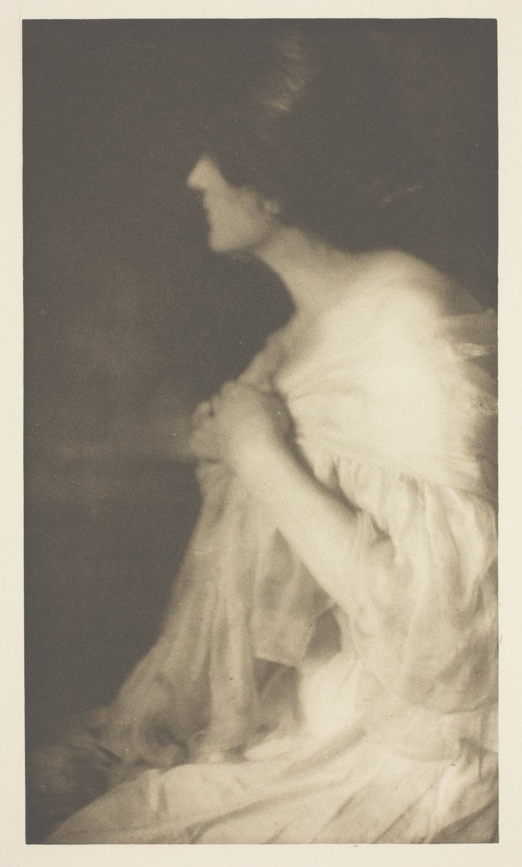  by Rose Clark
