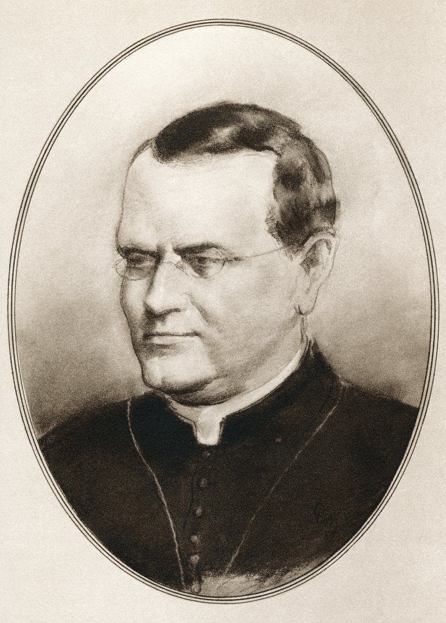 Büyük Bilim Adamlarının Yaşayan Biyografilerinden Gregor Johann Mendel by Ross Gordon